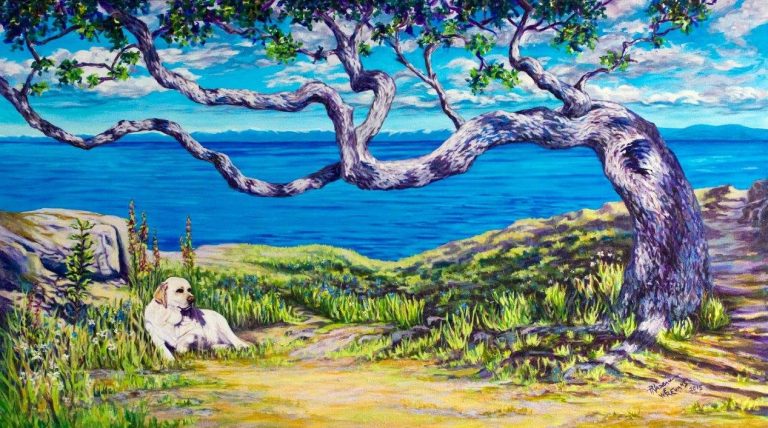 nanoose bay studio tour collage 07 768x428