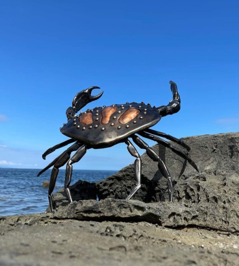 nanoose summer 3 768x853