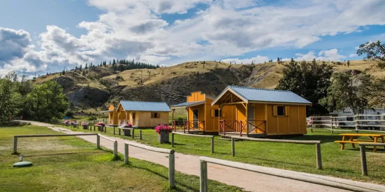 rsw 776h 388cg true 1 768x384