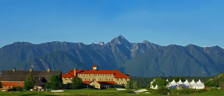 steugene signatureshot.2400x1029 768x329