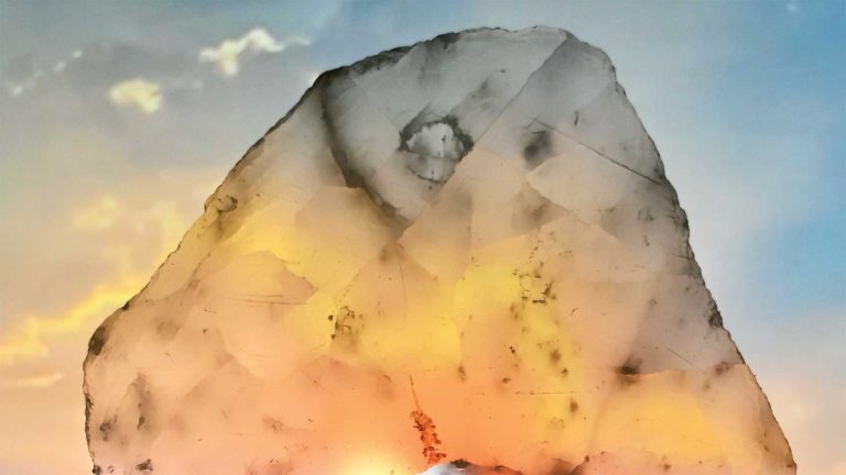 tania willard web 768x432