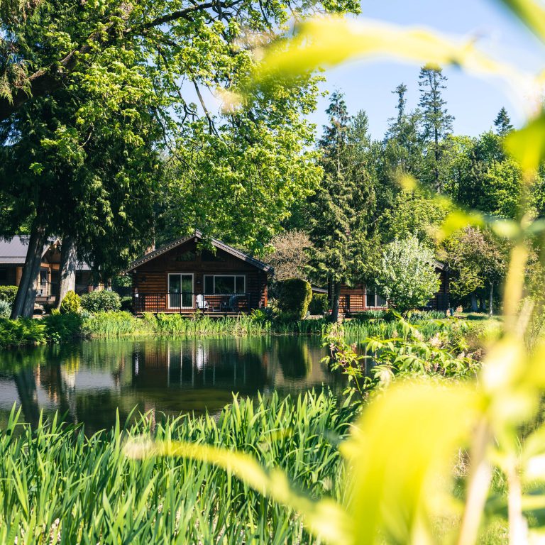 wellness bc greenery 768x768